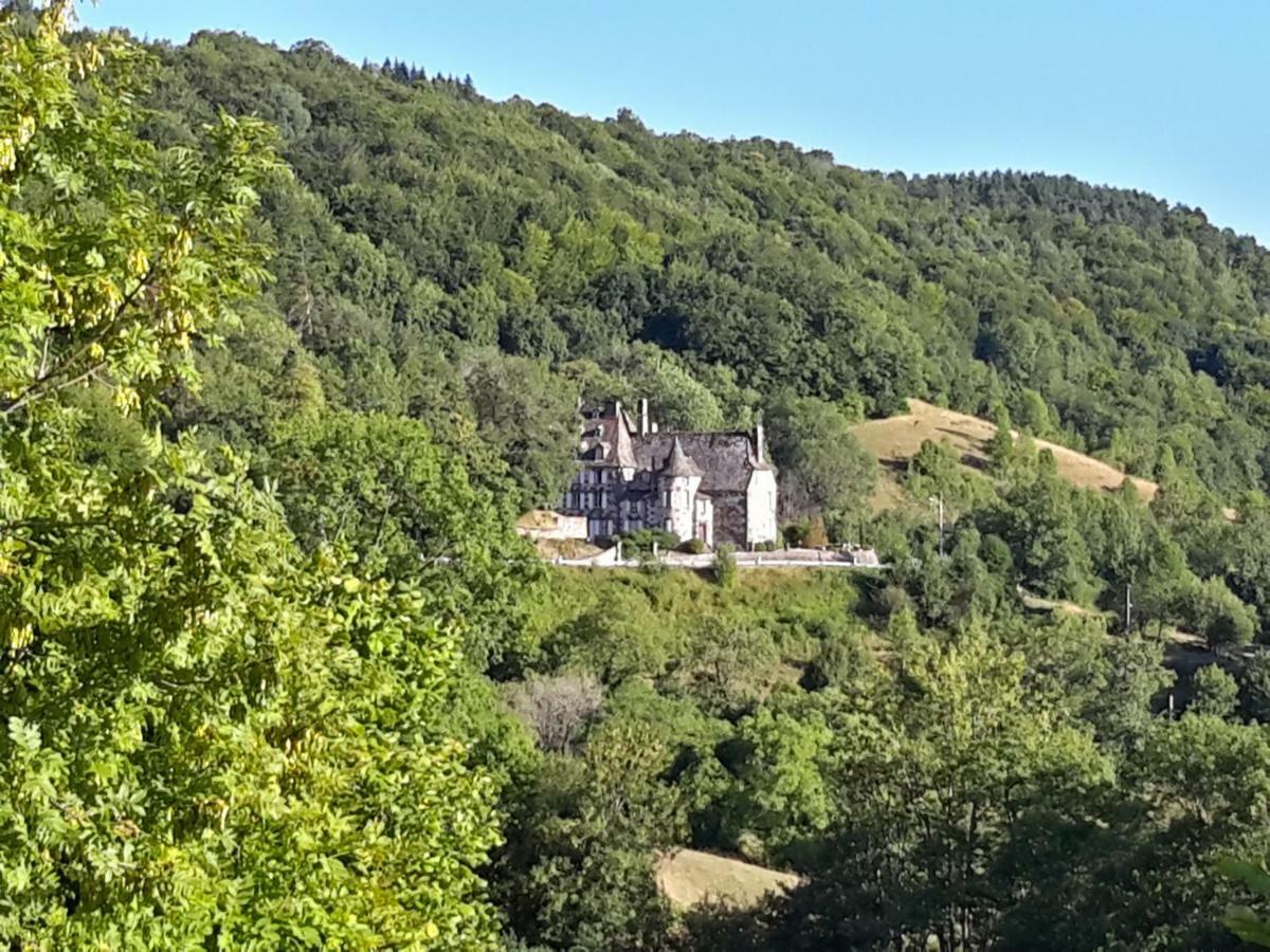 Chateau De Courbelimagne, Raulhac Zewnętrze zdjęcie